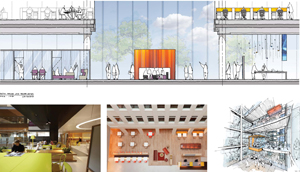 HOK International